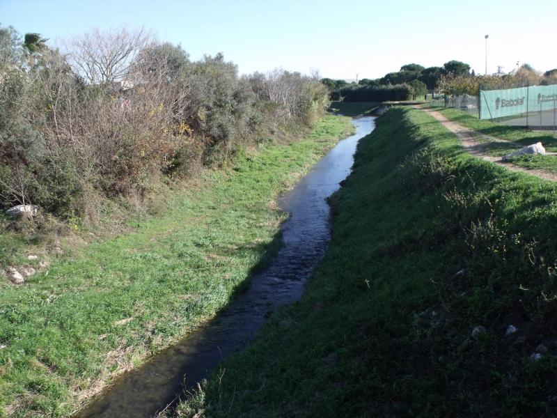 Le rieu